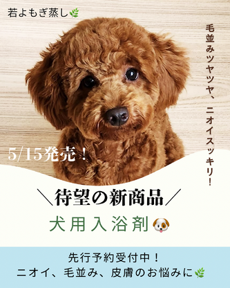 犬用入浴剤 無料相談(zoom、電話、対面)